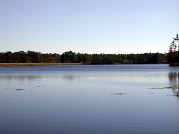 Boiling Spring Lakes